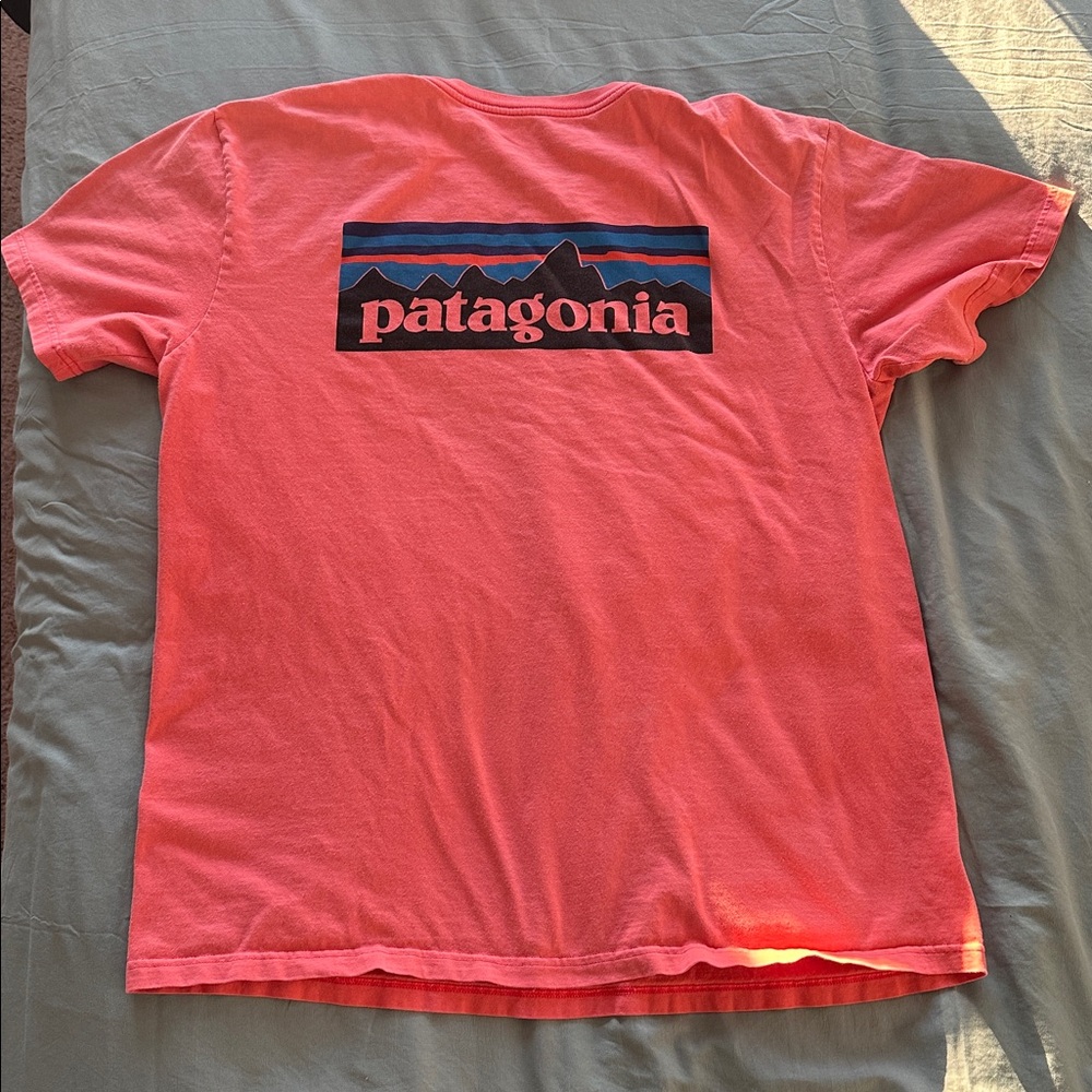 Patagonia t-shirt